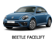 beetle fl